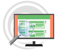 website quality manager